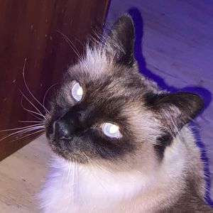 Meet your Posher, Darrell